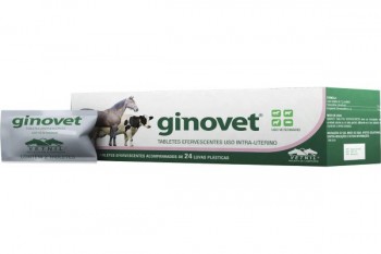 Ginovet Vetnil